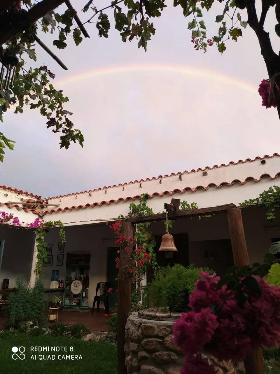 Imagen del artículo