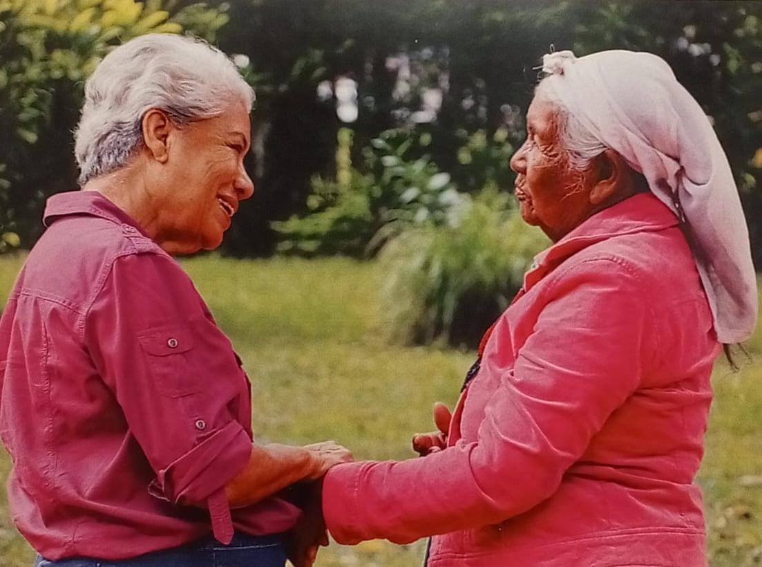 Imagen del artículo